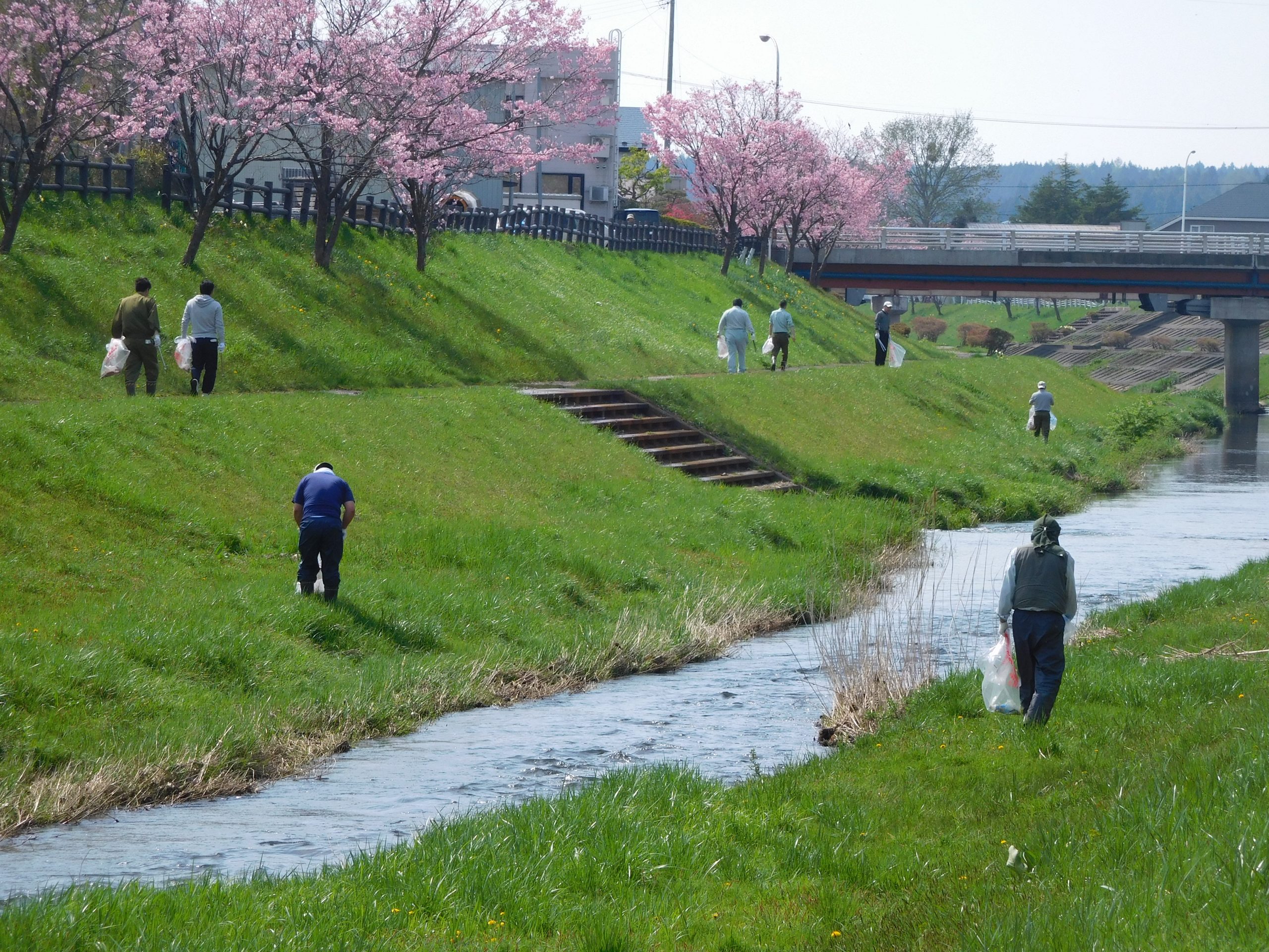 青森県ふるさとの水辺サポーター制度認定
