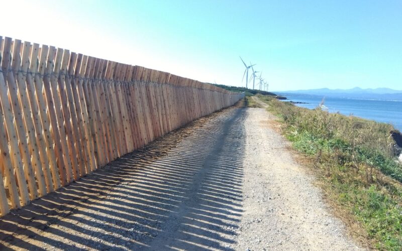 交漁防第1-1号　令和７年度県営防災林造成工事